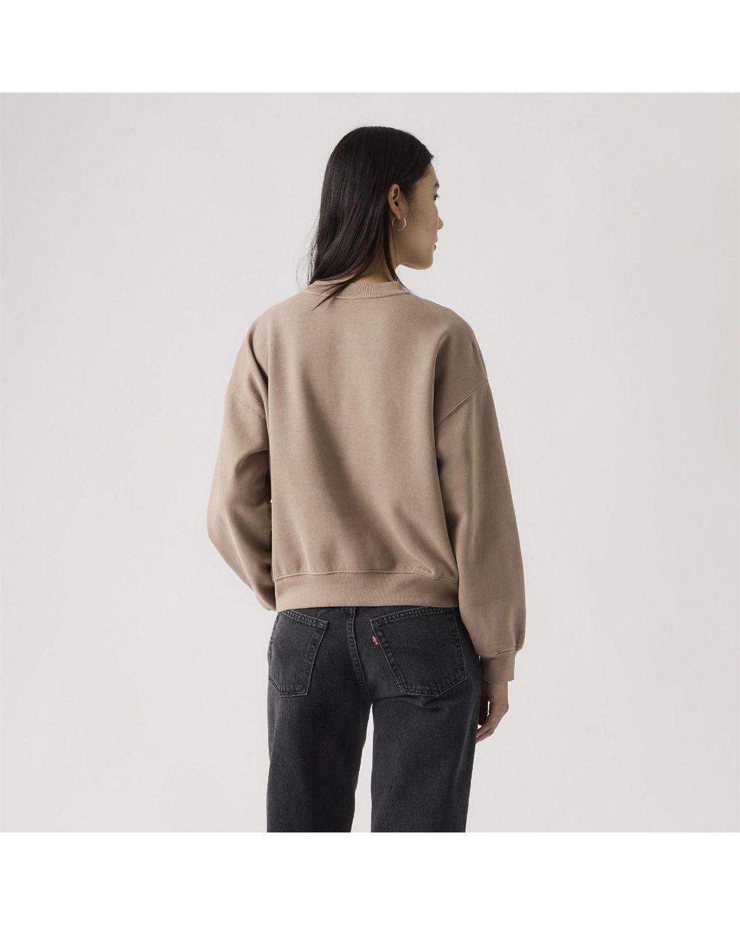 Levi's Brown Boxy Crew Neck Drop Shoulder Long Sleeve Sweatshirt 8 (Xs)