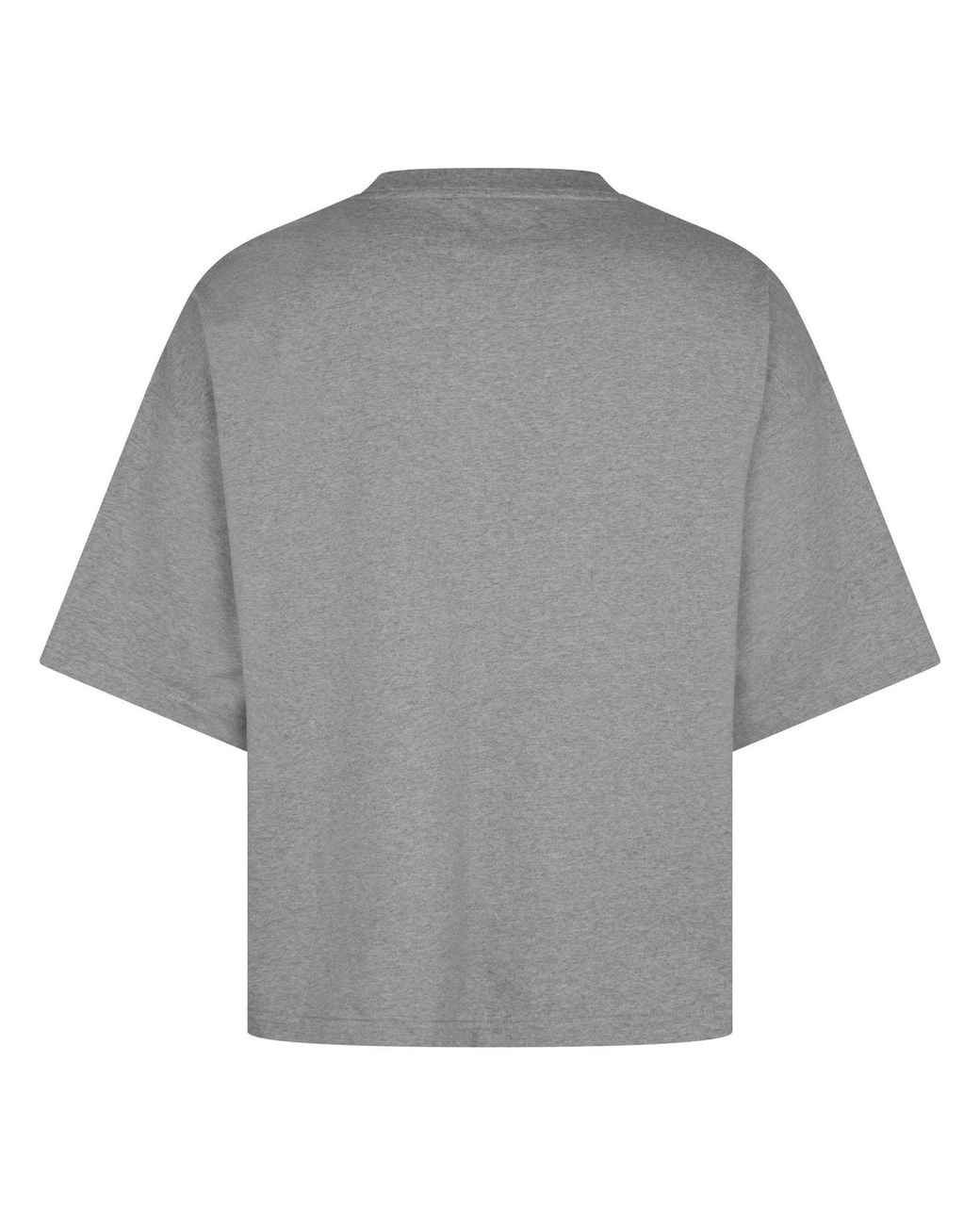 Drew House Gray Adults Heavyweight T-Shirt for men