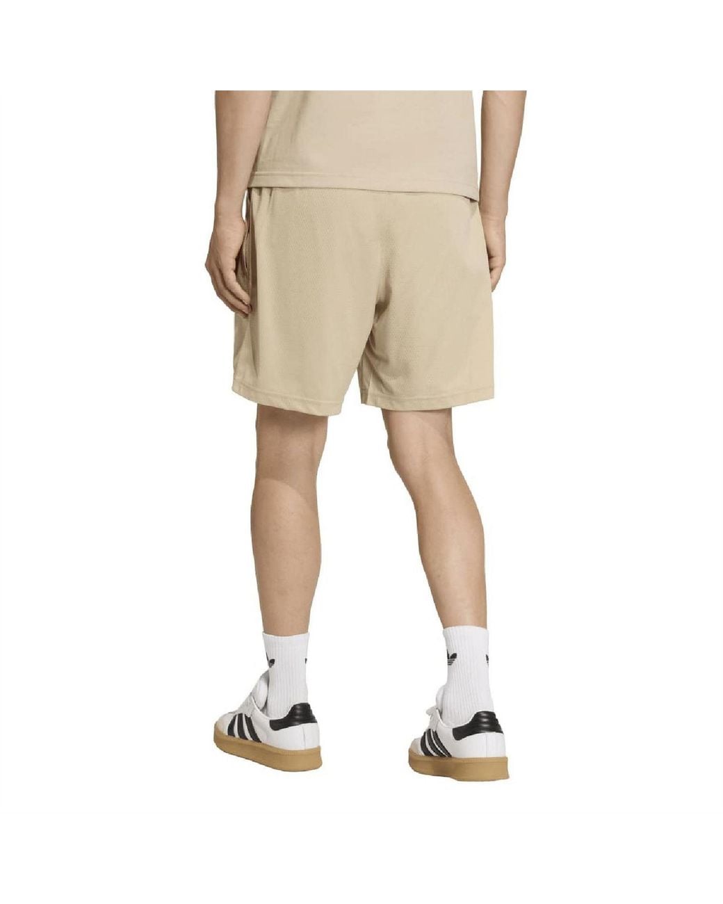Adidas Originals Natural Trefoil Esnt for men