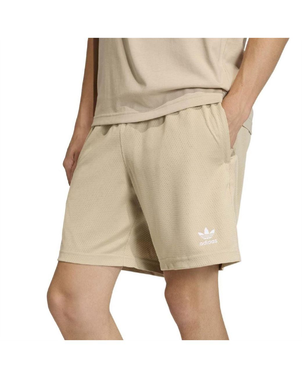 Adidas Originals Natural Trefoil Esnt for men