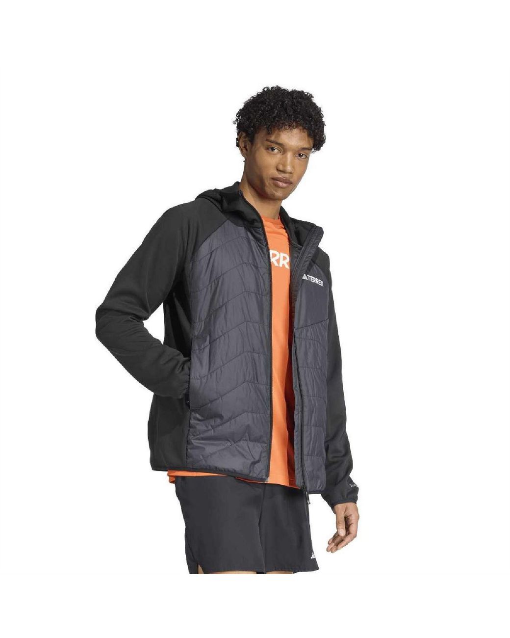 Adidas Blue Terrex Multi for men
