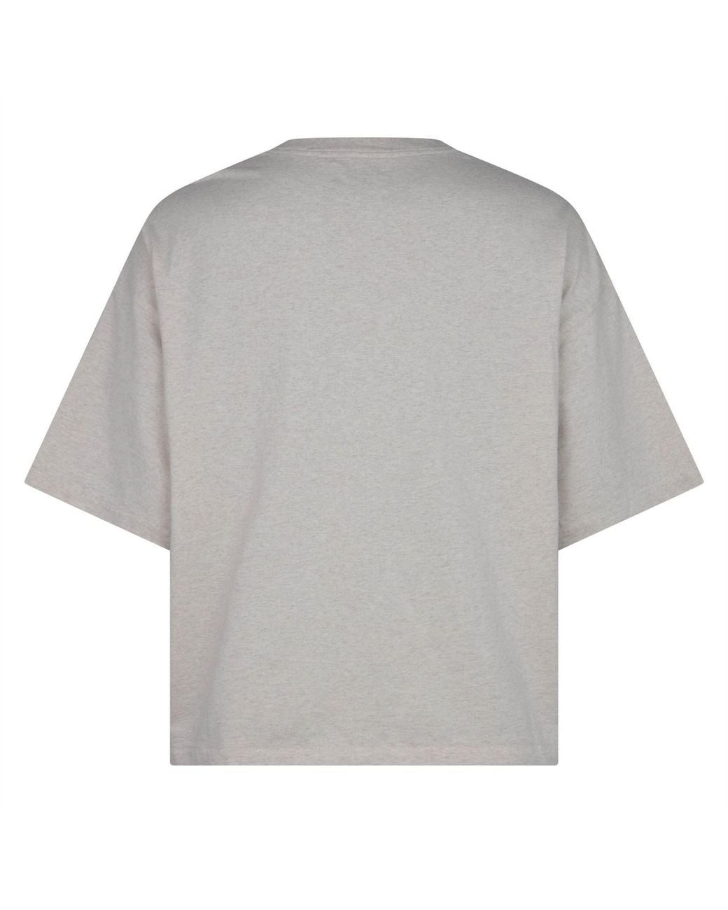 Drew House Gray Adults Heavyweight T-Shirt for men