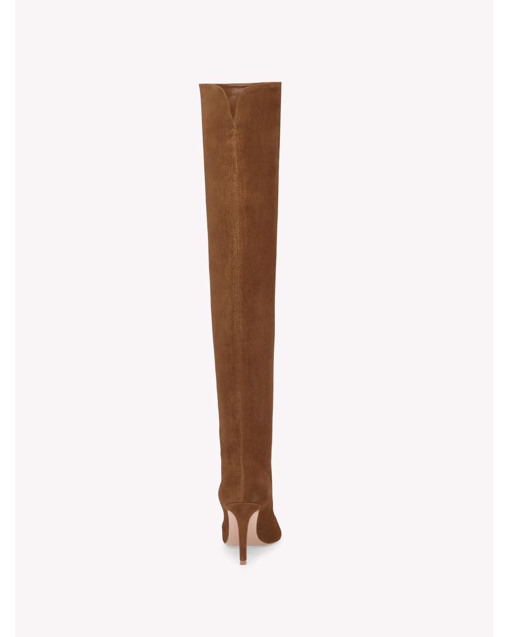 Gianvito Rossi Brown Hansen Cuissard