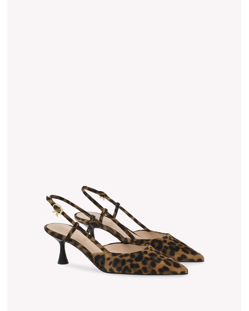 Gianvito Rossi Natural Ascent 55, Pumps