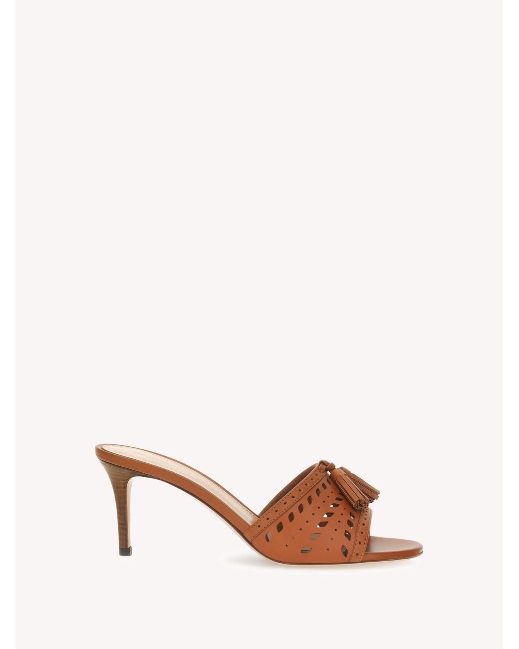 Gianvito Rossi Natural Fes, Sandals And Mules