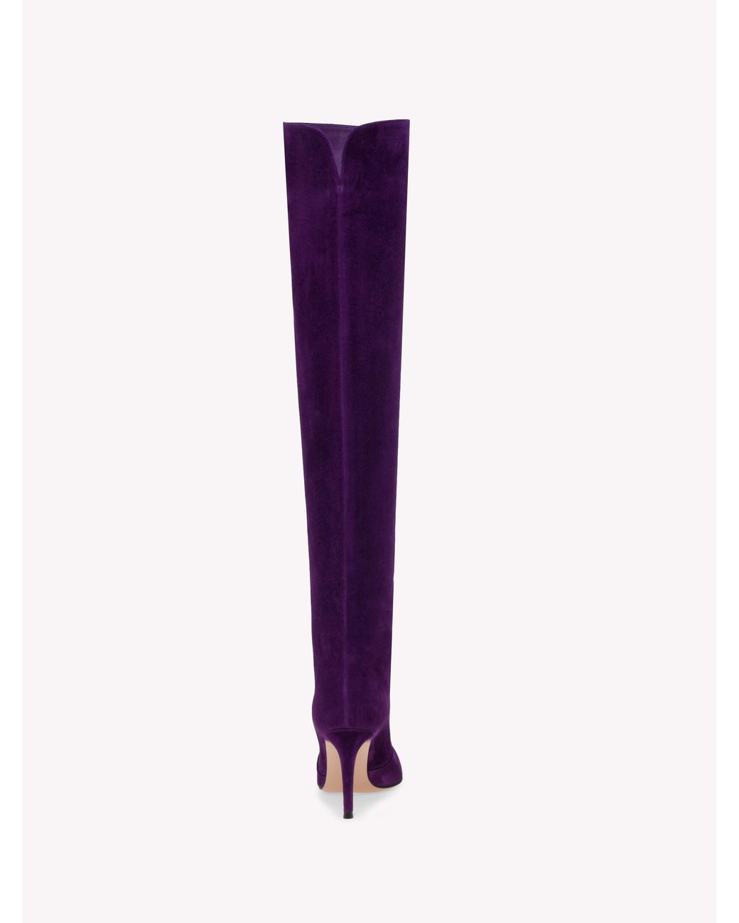 Gianvito Rossi Purple Hansen Cuissard