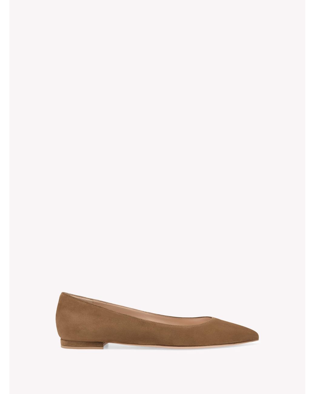 Gianvito Rossi Multicolor Gianvito Flat, Braun