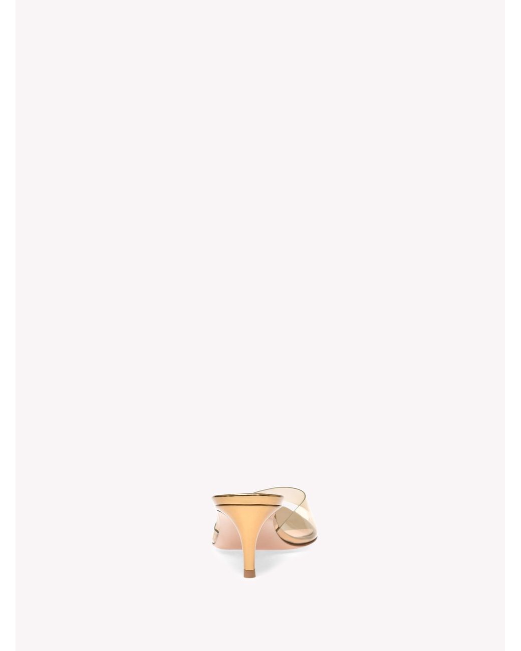 Gianvito Rossi Natural Elle 55