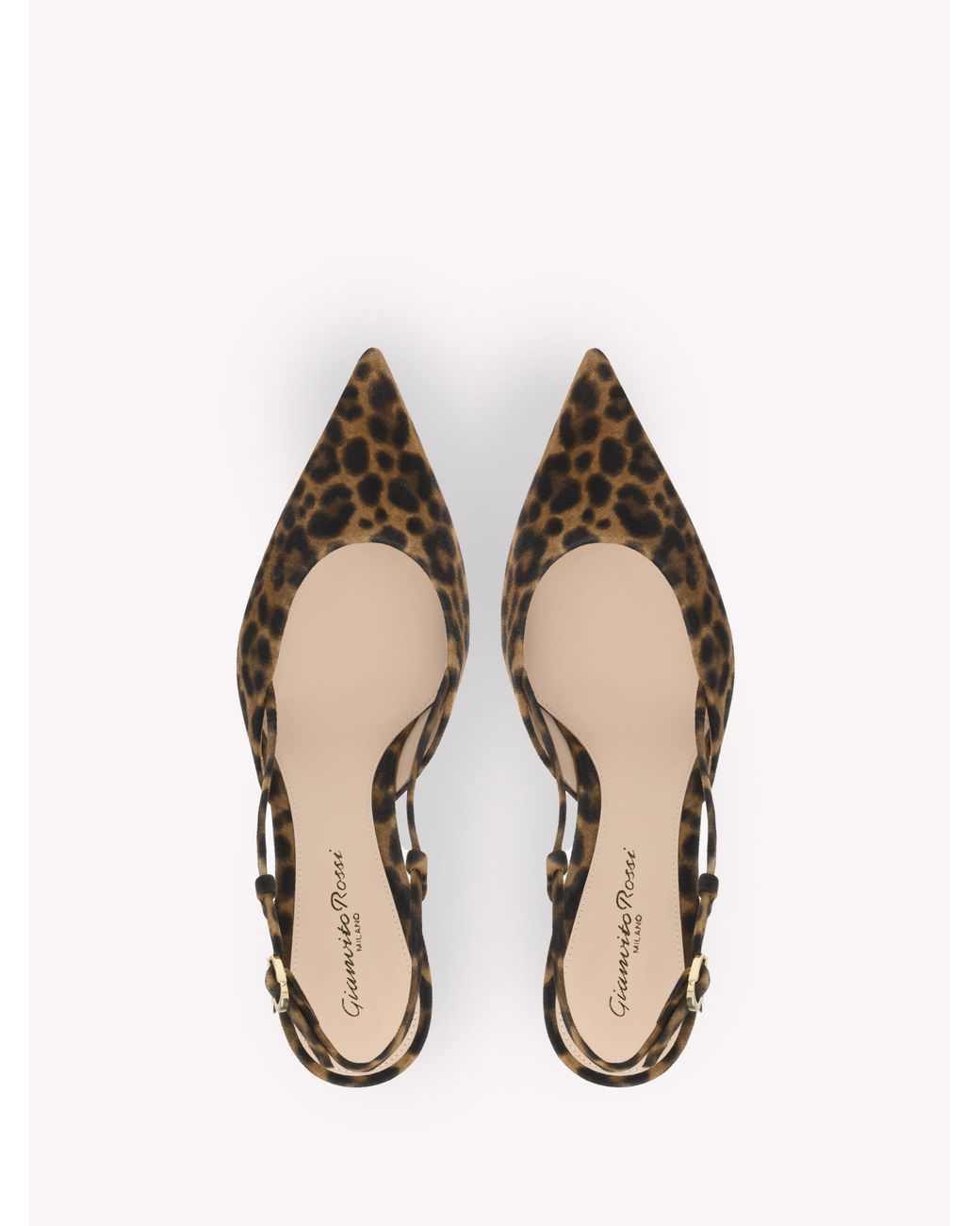 Gianvito Rossi Natural Ascent 55, Pumps