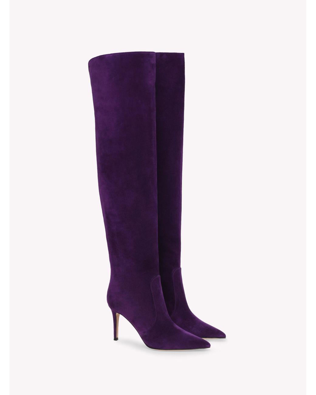 Gianvito Rossi Purple Hansen Cuissard