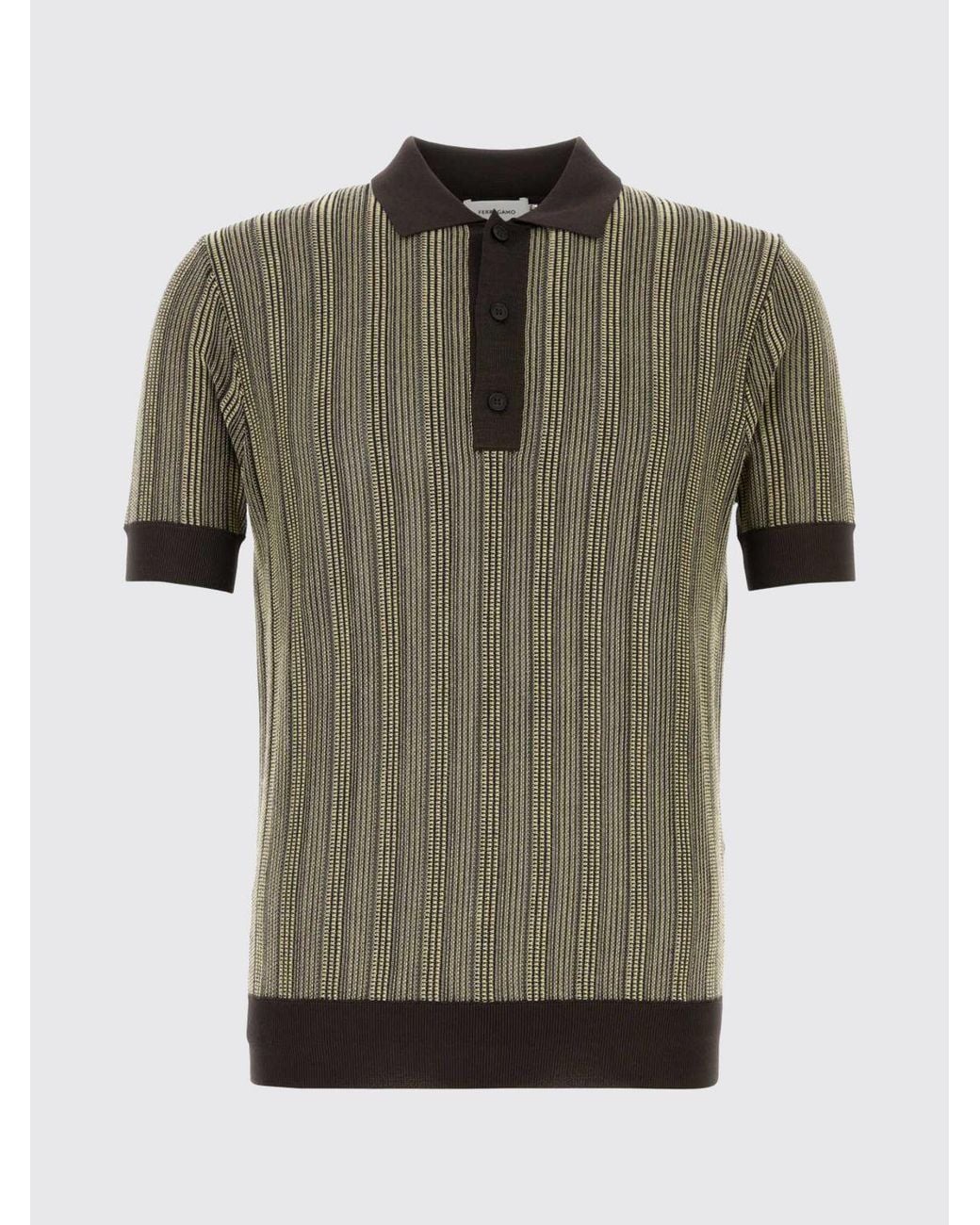 Ferragamo Brown Striped Knit Polo for men
