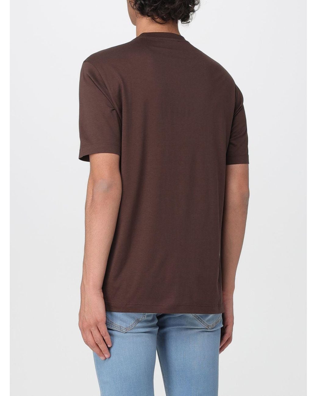 Zanone Brown Basic Cotton And Silk T-Shirt for men