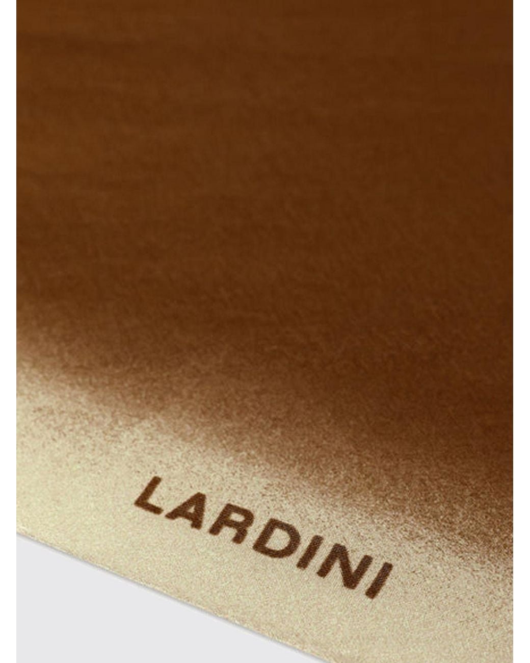 Lardini Brown Silk Foulard for men