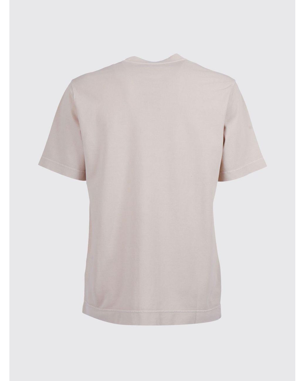 Circolo 1901 White Basic Cotton T-Shirt for men