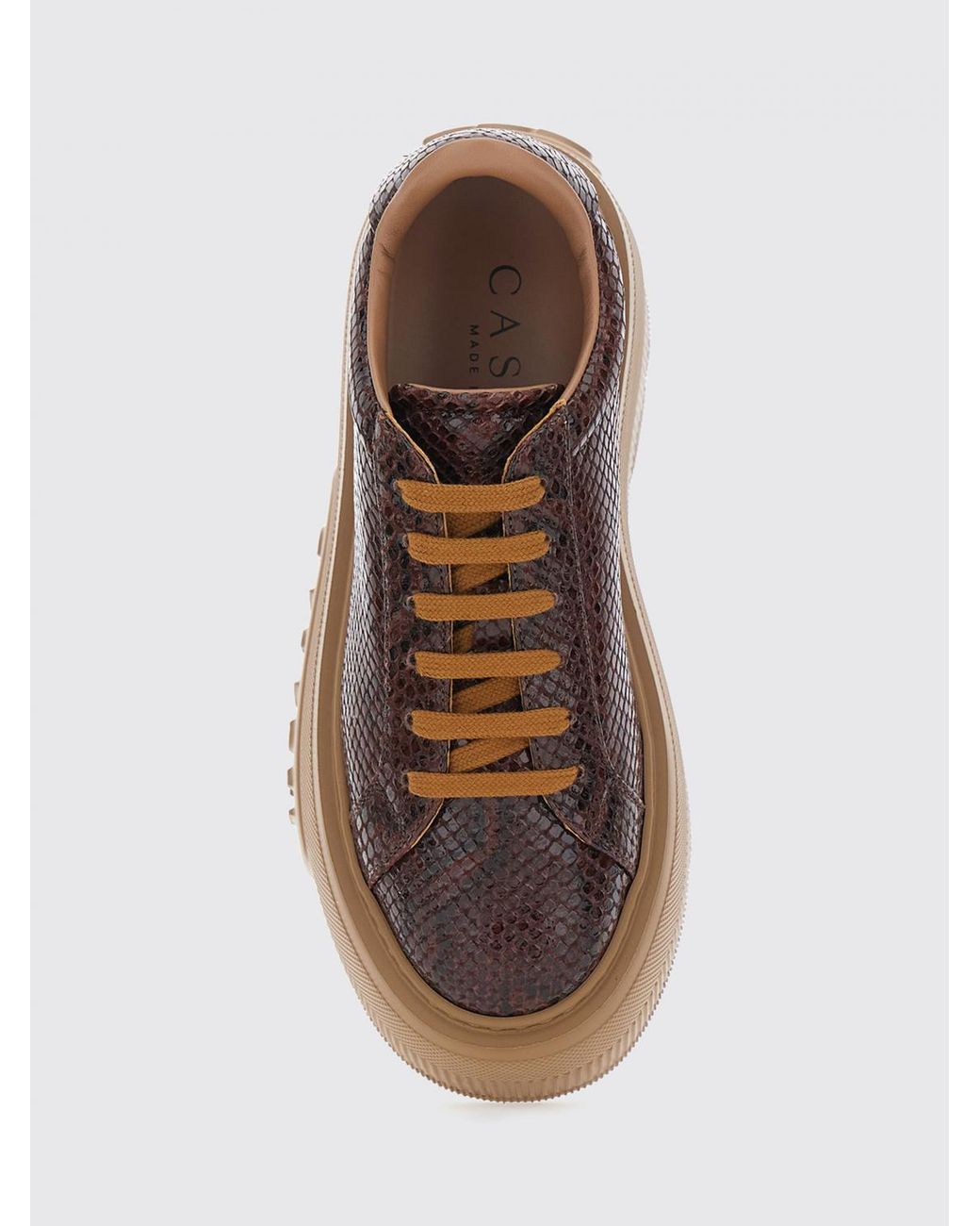 Casadei Brown Nexus Python Print Leather Platform Sneakers