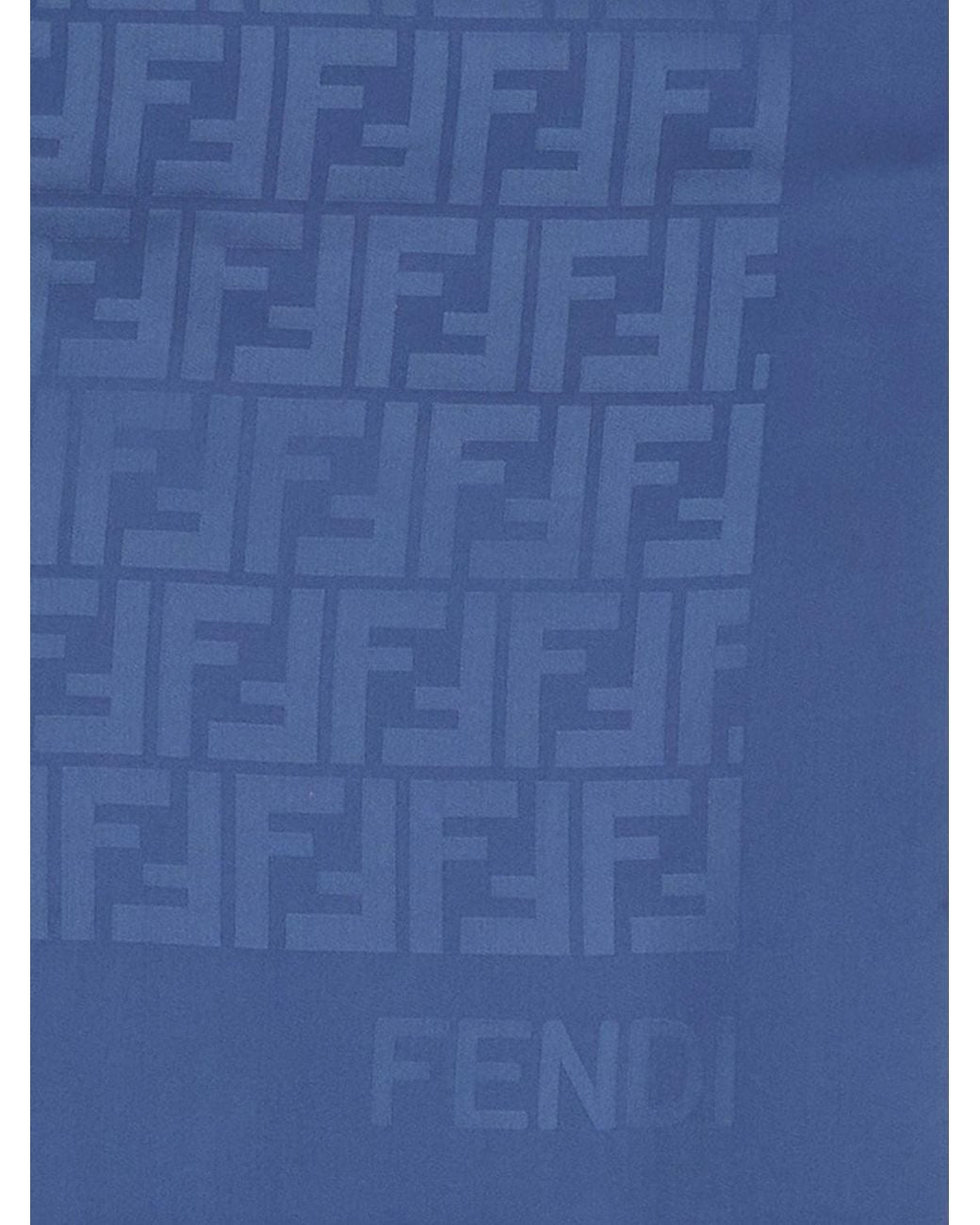 Sciarpa Di Seta di Fendi in Blue