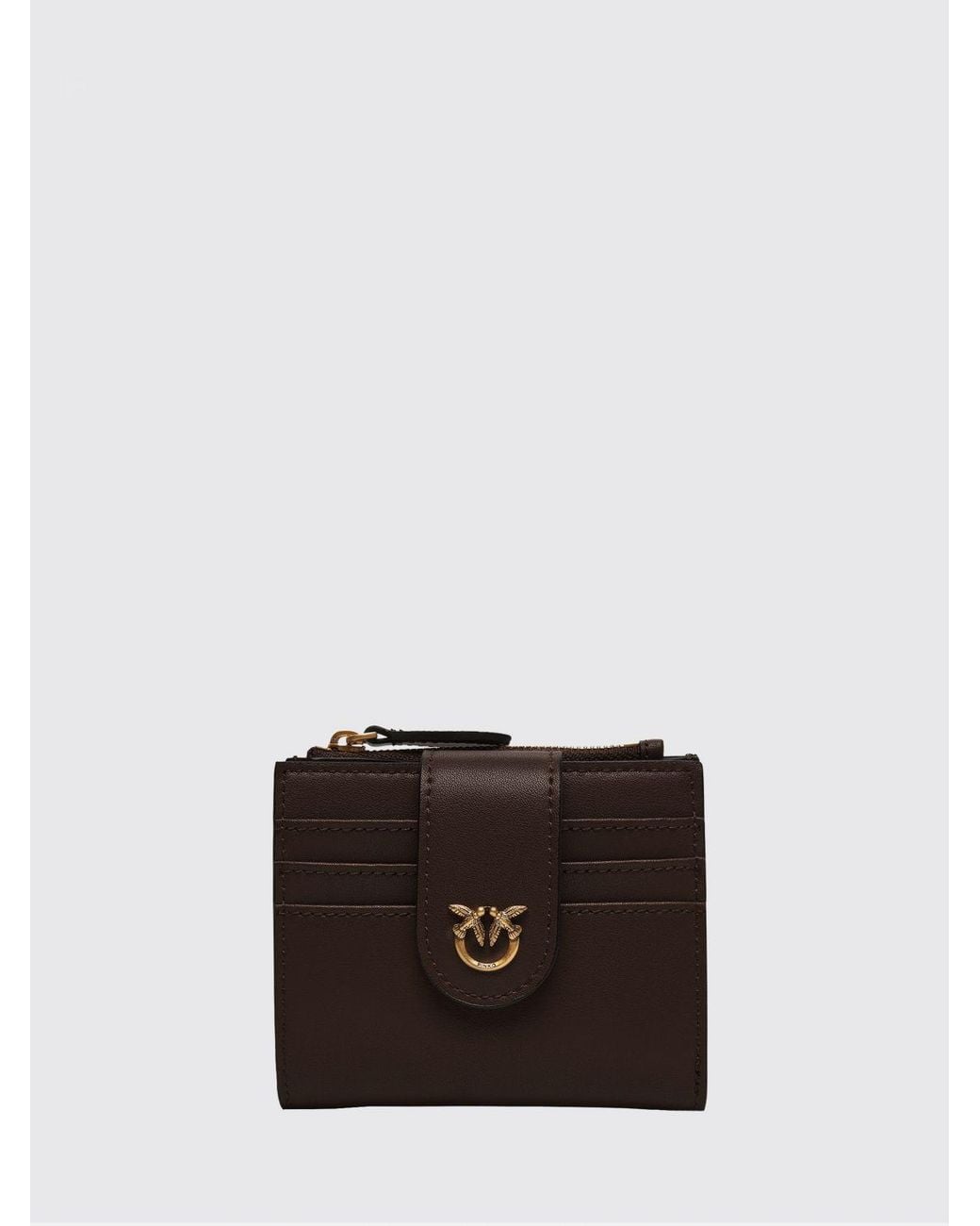 Pinko Brown Wallet