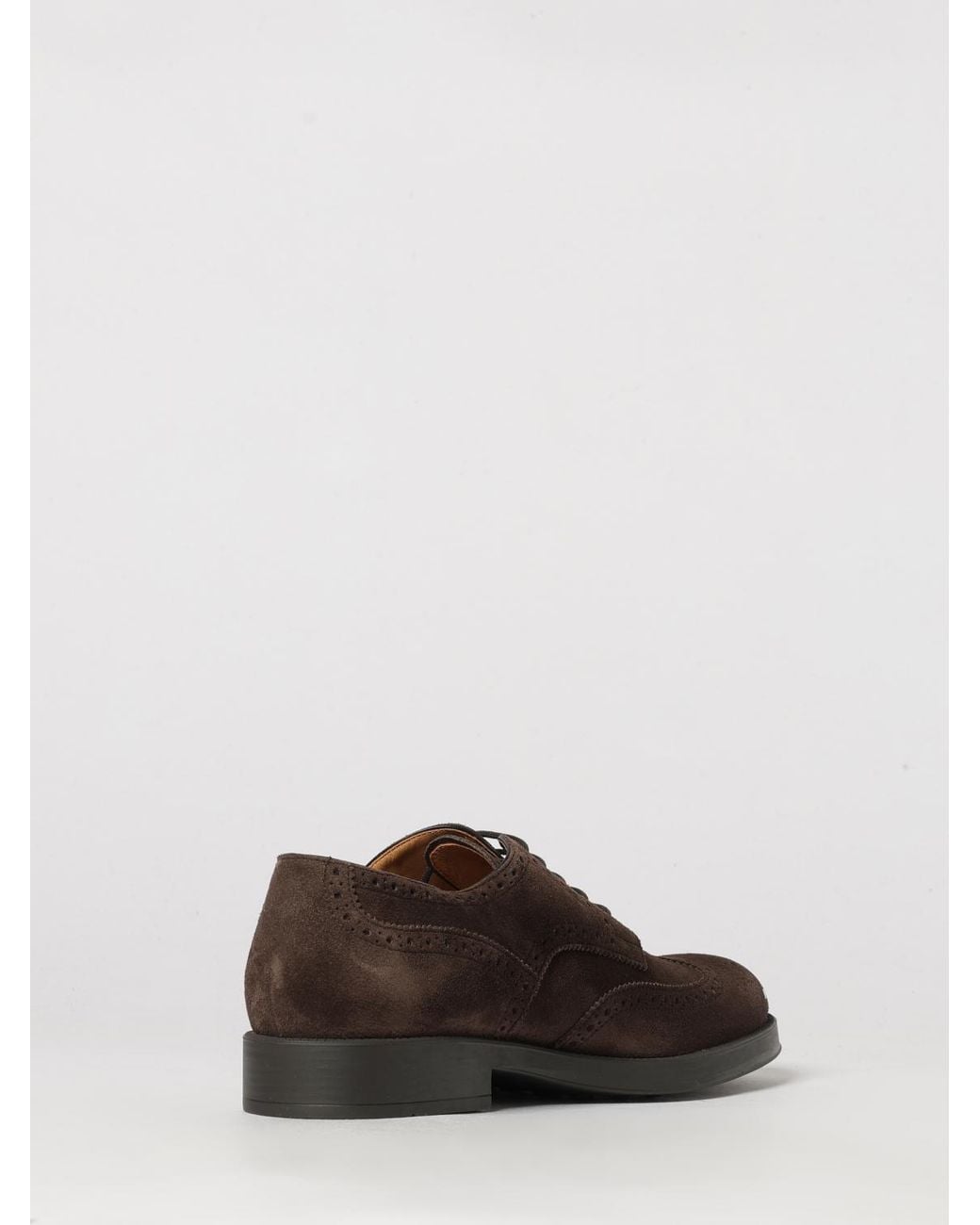 Tod's White Suede Calfskin Derby Shoes With Brogue Detailing And A Round Toe for men