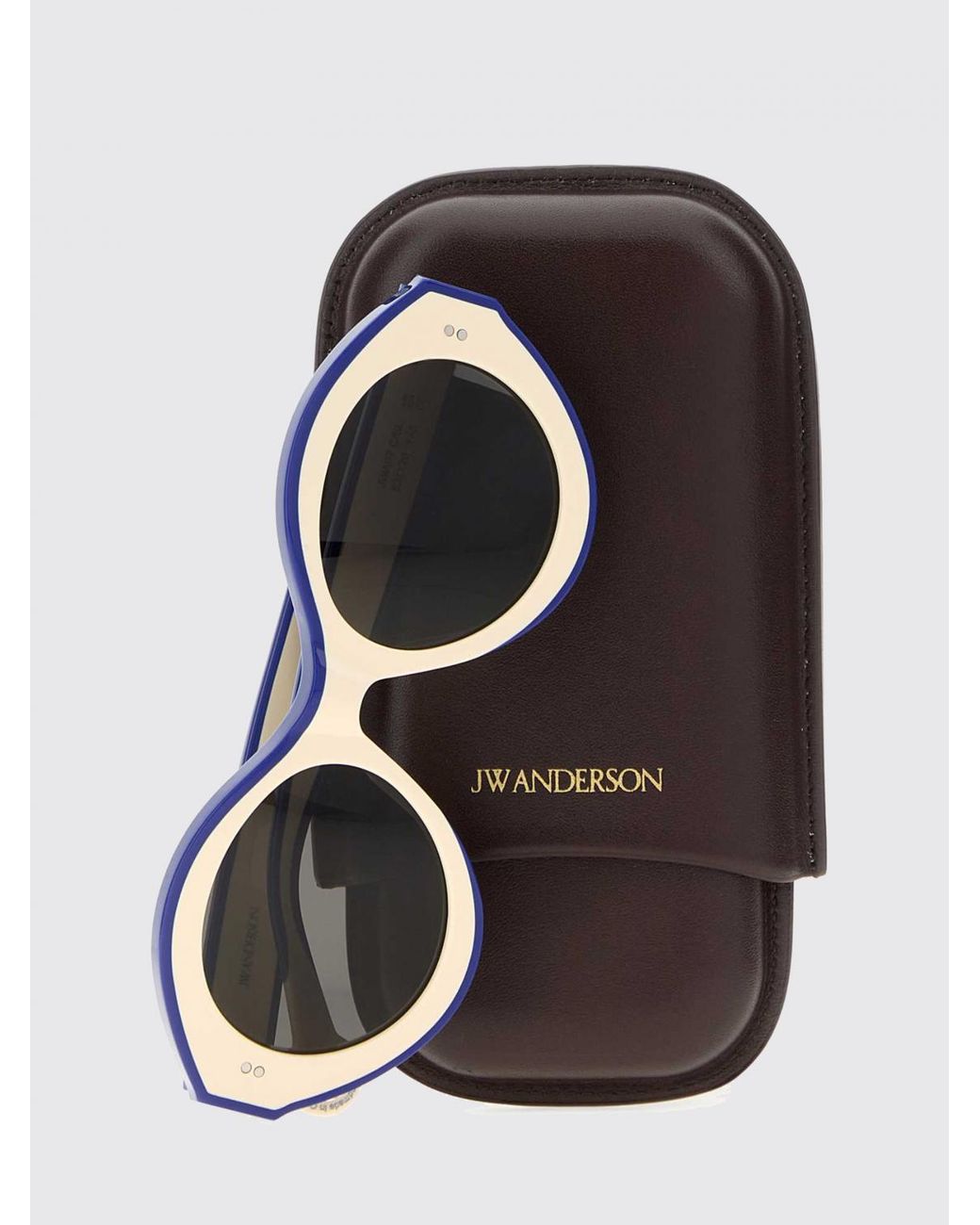 J.W. Anderson White Bumper Bicolor Cat-Eye Acetate Sunglasses for men
