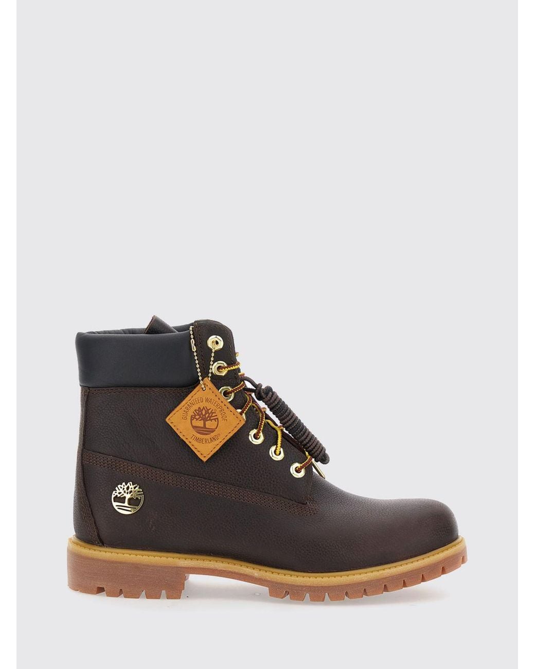 Timberland Brown Premium 6-Inch Water-Repellent Leather Boots With Padded Ankle for men
