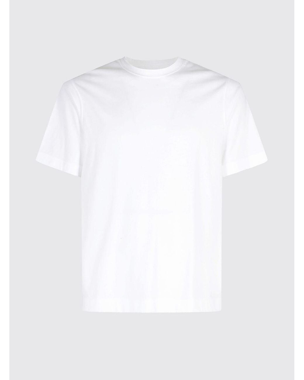 Circolo 1901 White Short-Sleeved Pure Cotton Crew Neck T-Shirt for men