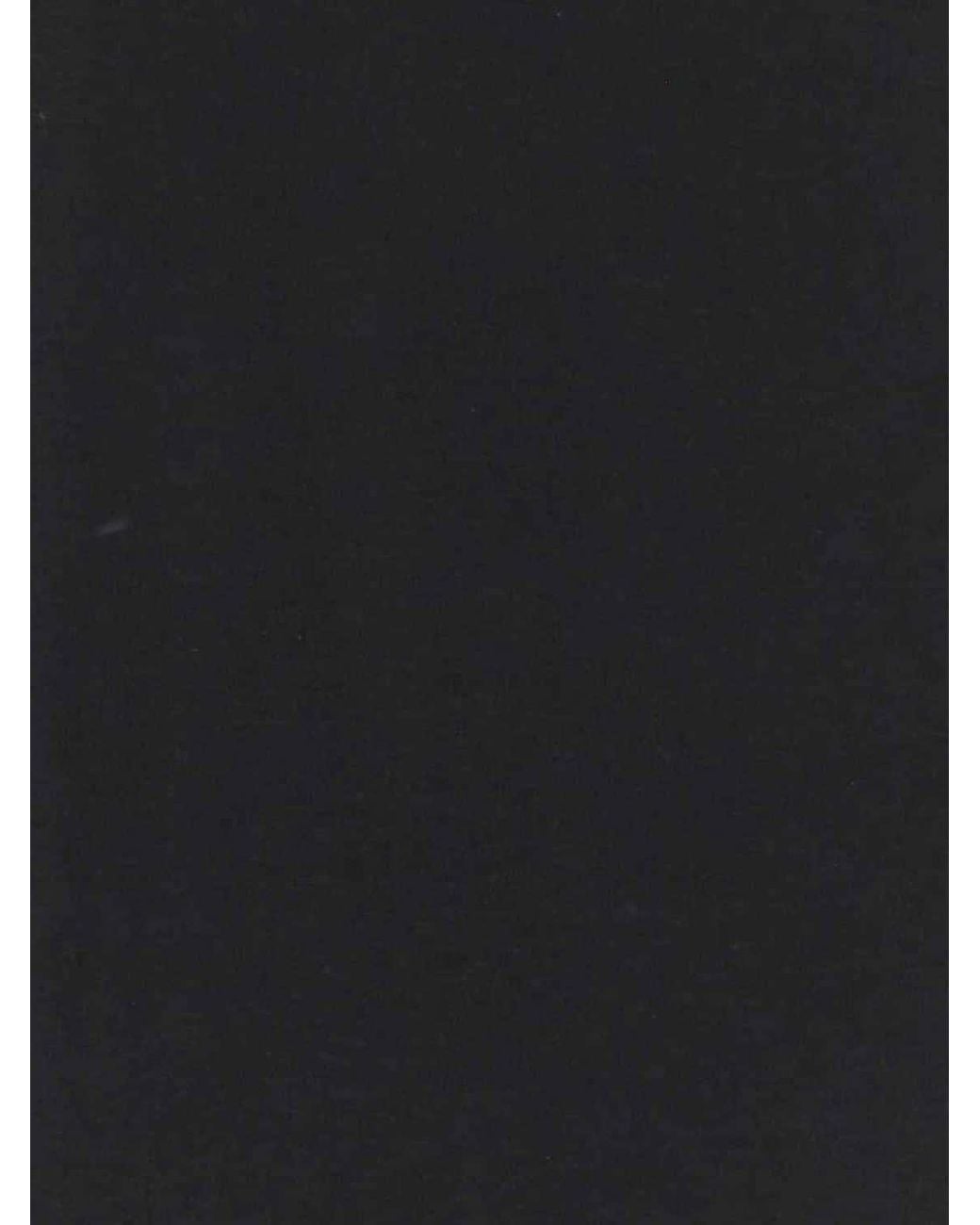 Rick Owens Black Basic Design Cotton Crewneck T-Shirt