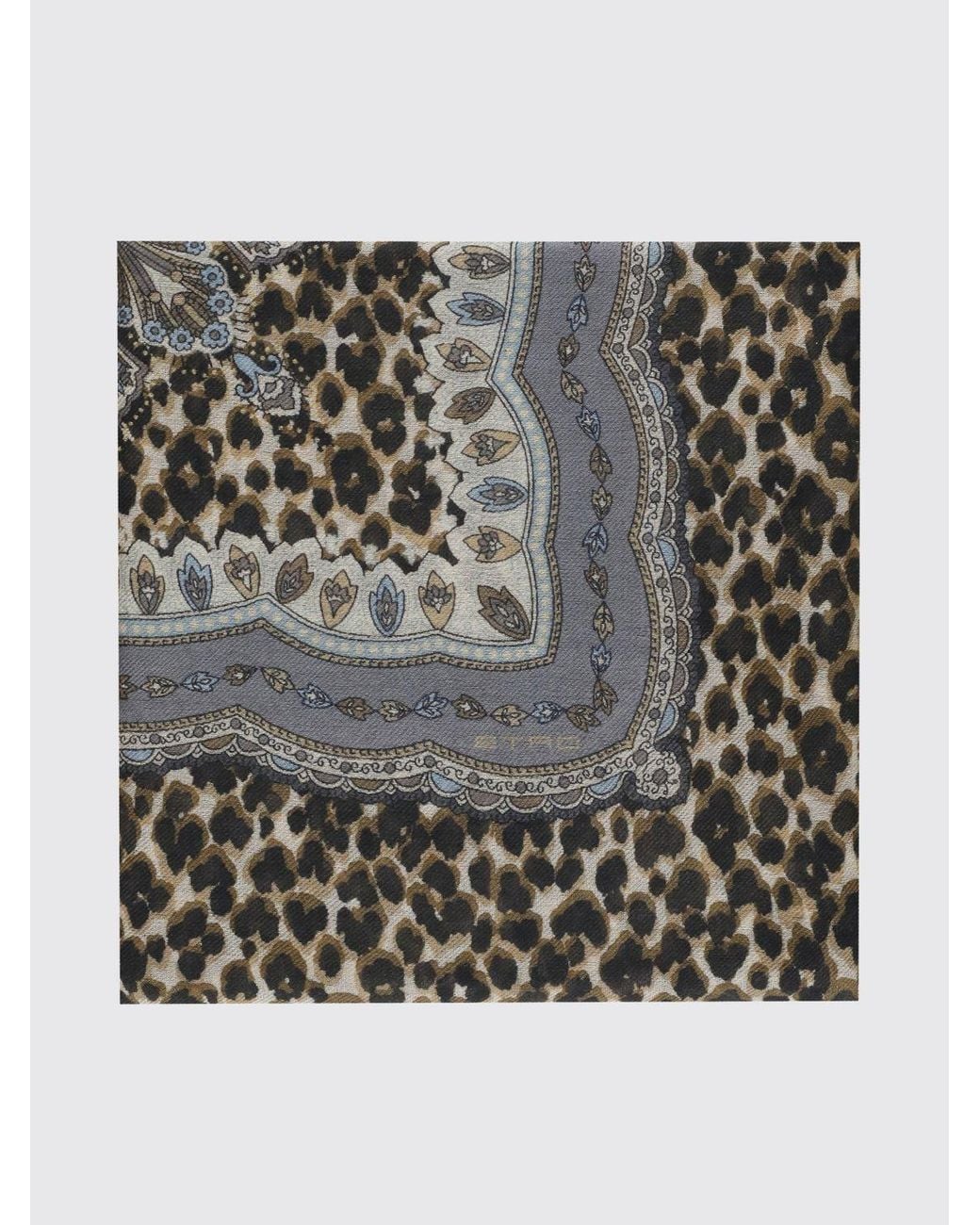 Sciarpa Animalier di Etro in Black
