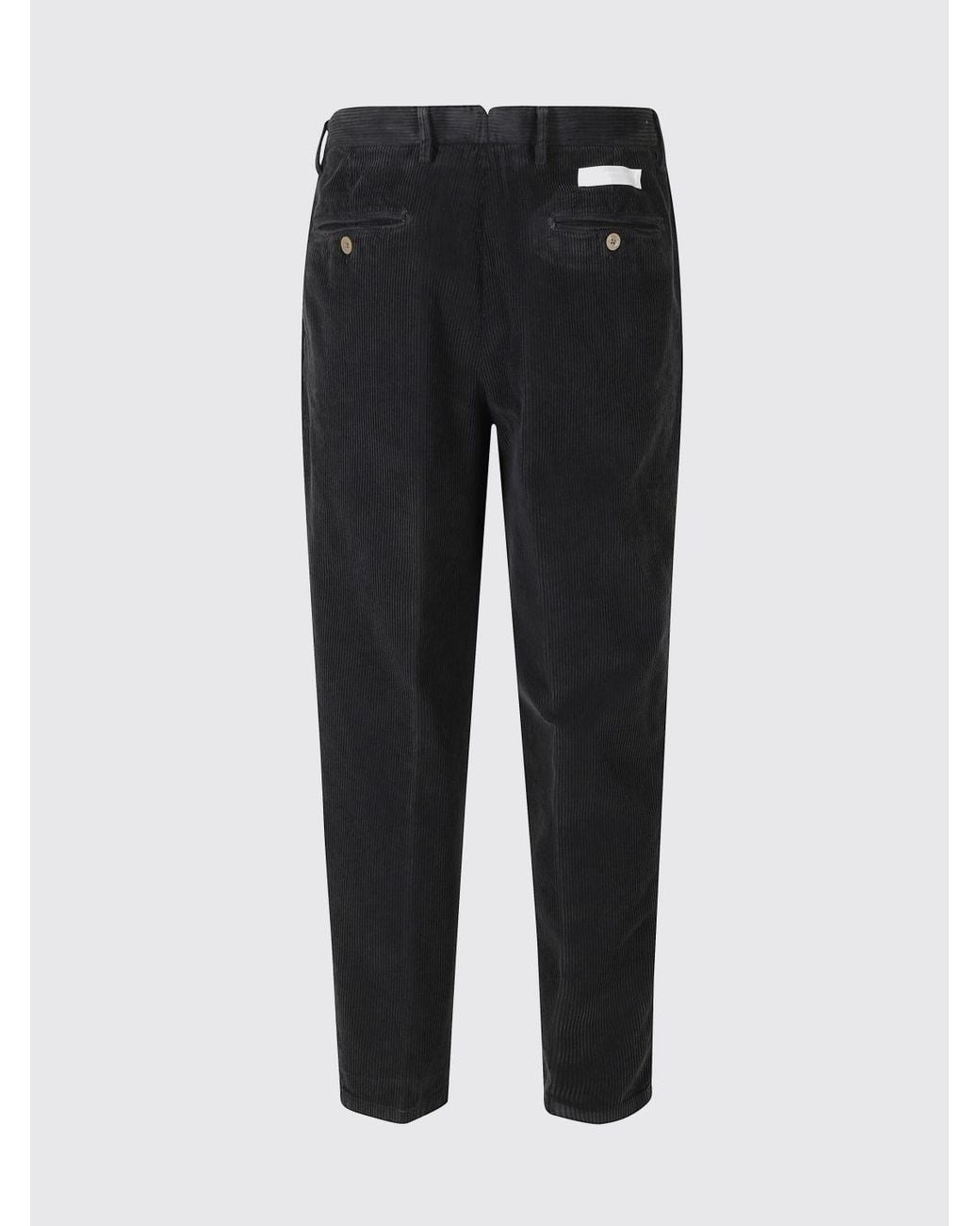 Briglia 1949 Blue Slim Fit Pleated Corduroy Chino Trousers for men
