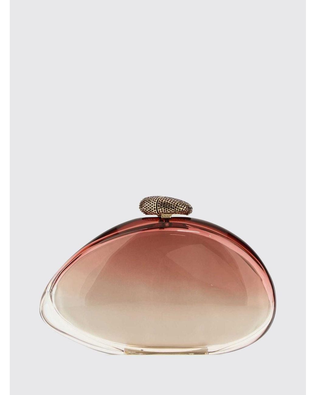 Benedetta Bruzziches Brown Ariel Methacrylate Asymmetrical Clutch