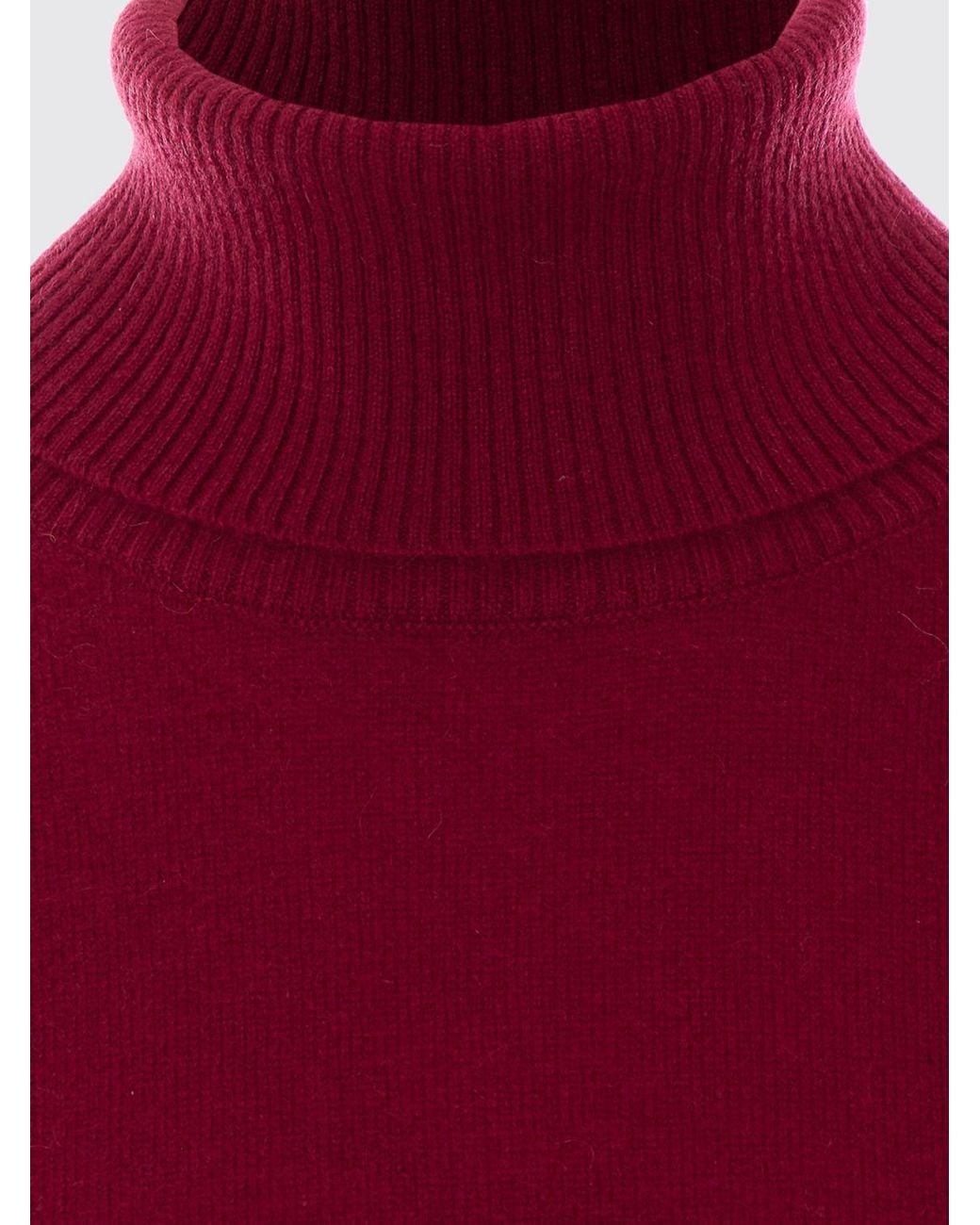Not Shy Red Pure Cashmere Turtleneck Jumper With Long Sleeves And Ribbed Trim