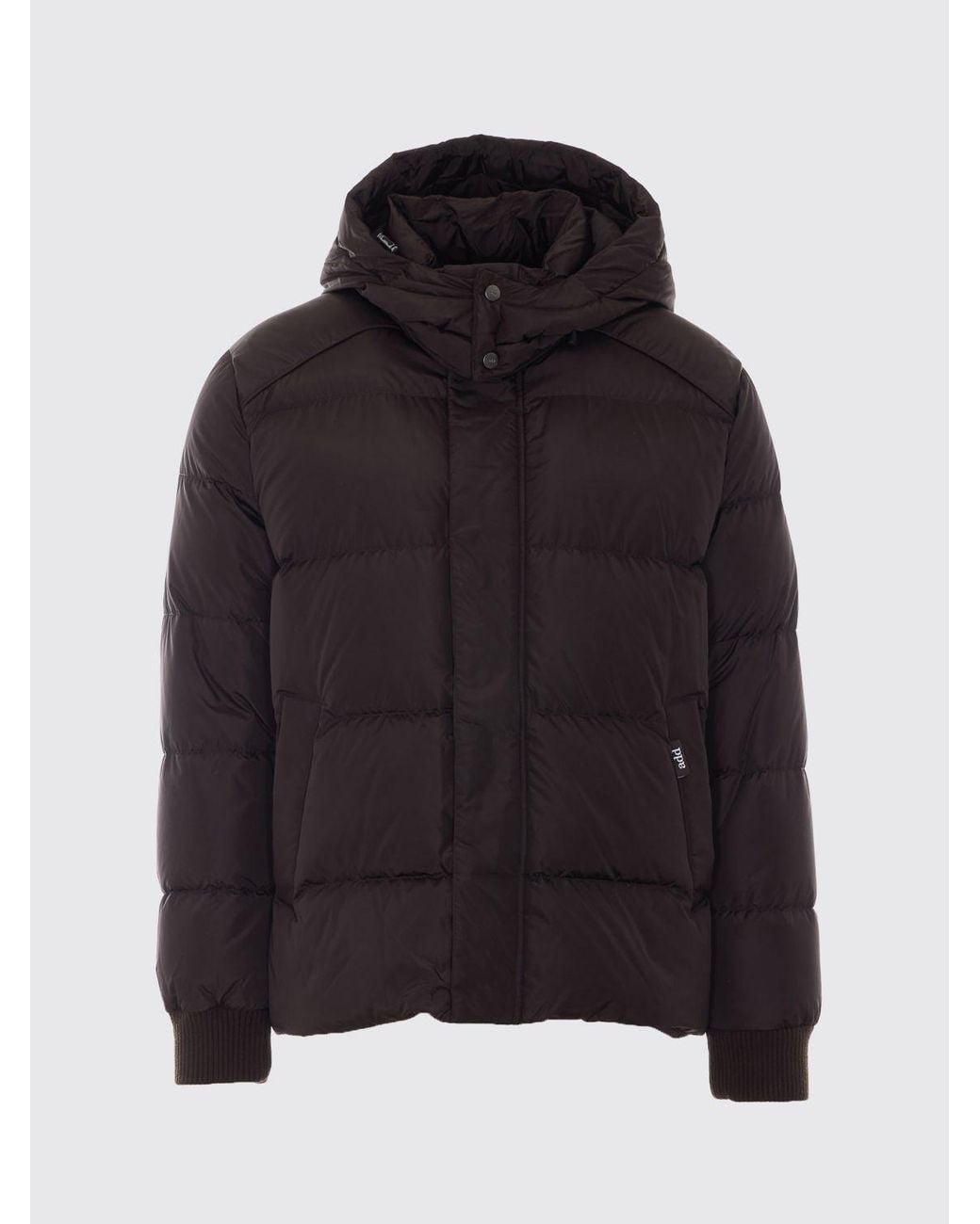 Add Blue Quilted Nylon Short Down Jacket With Ped Hood And Concealed Closure for men