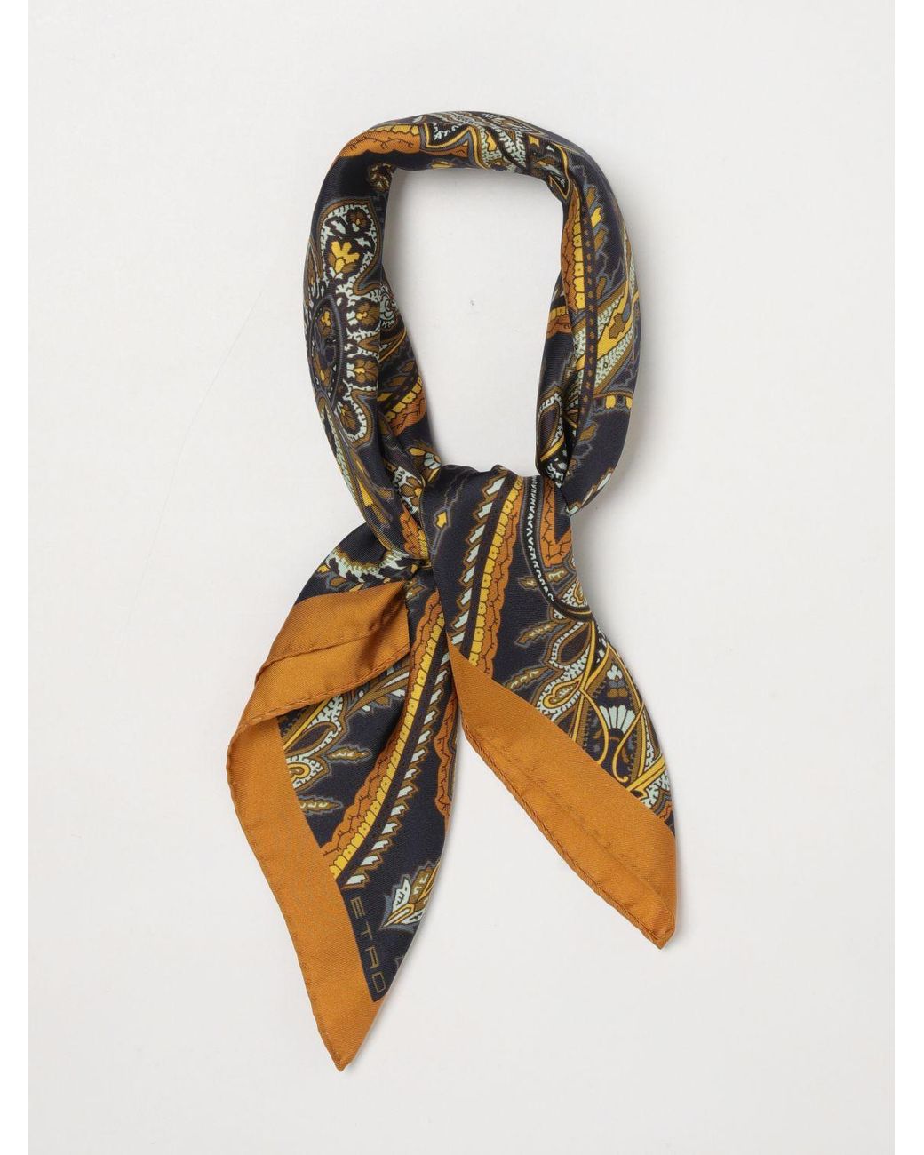 Etro Metallic Neck Scarf