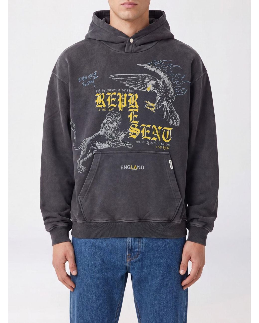 Represent Gray Hooded Sweatshirt for men