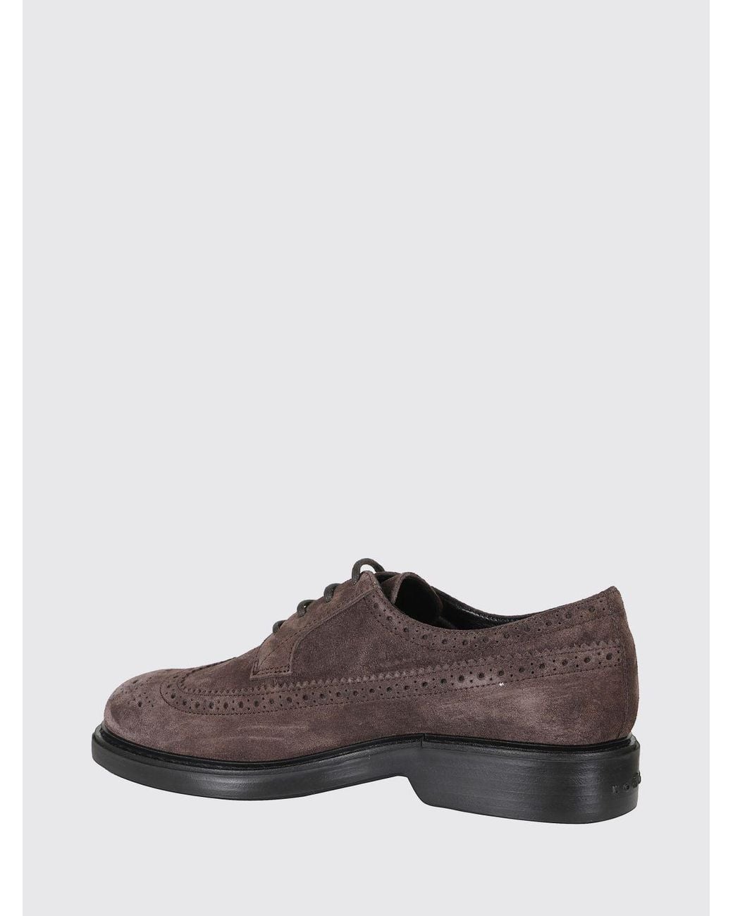 Hogan Brown H704 Suede Leather Derby Brogues With A Wingtip Motif for men