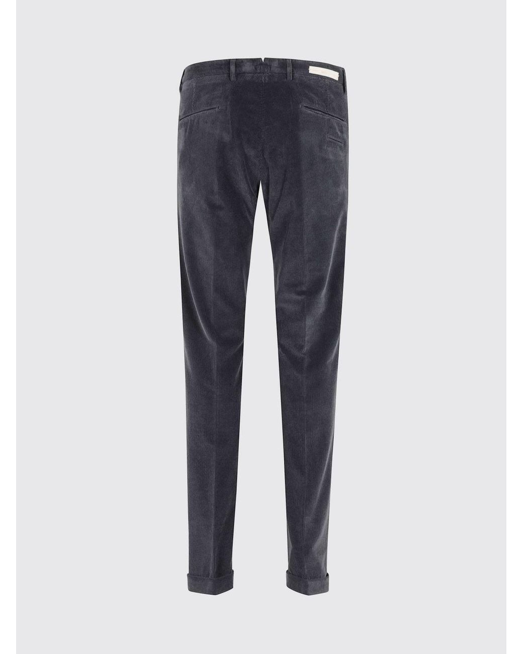 Briglia 1949 Blue Slim Fit Cotton Velvet Chino Trousers for men