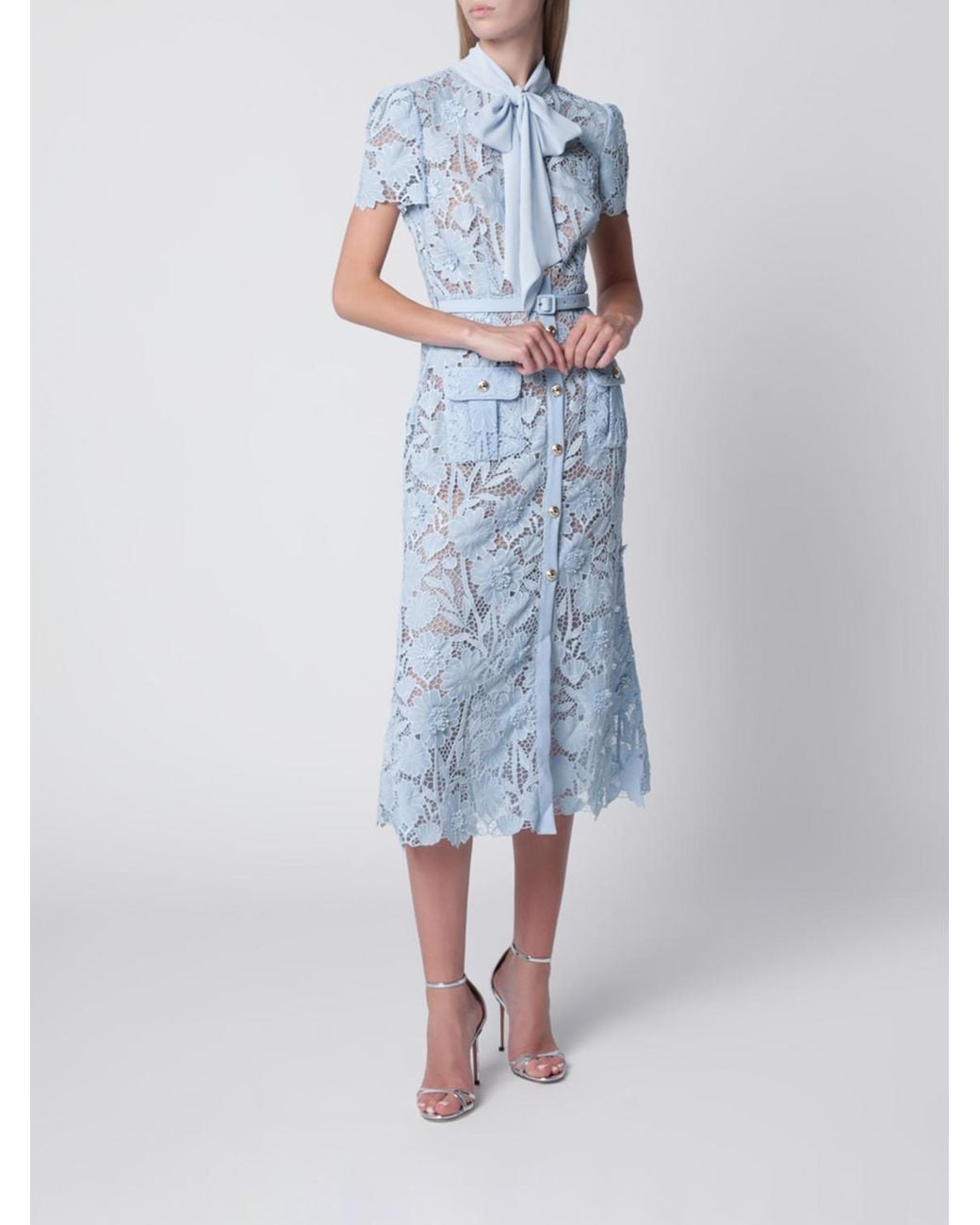 Self-Portrait Blue Dress