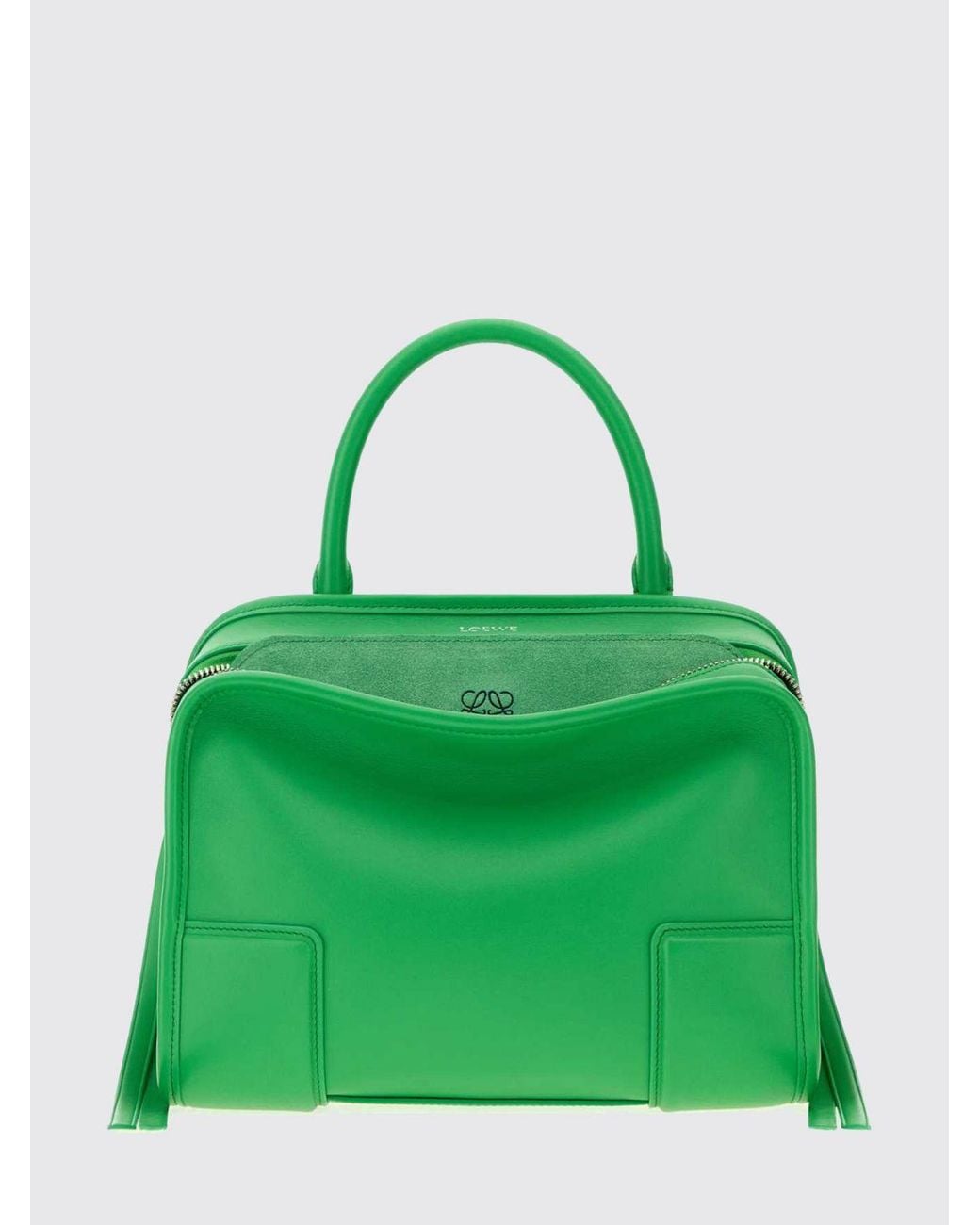 Loewe Green Small Amazona Calfskin Leather Handbag With Embossed Logo