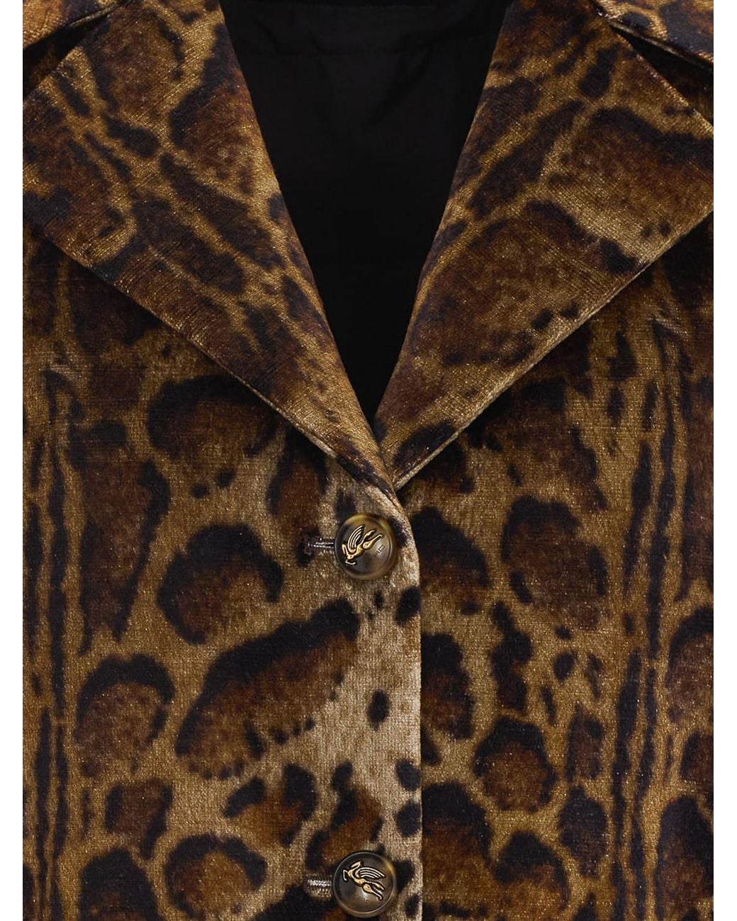 Etro Brown Jacket