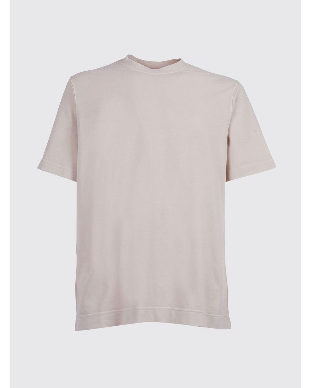 Circolo 1901 White Basic Cotton T-Shirt for men