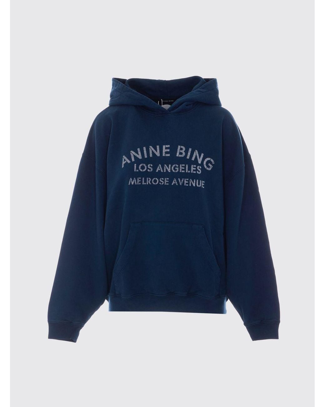 Anine Bing Blue Sweatshirt