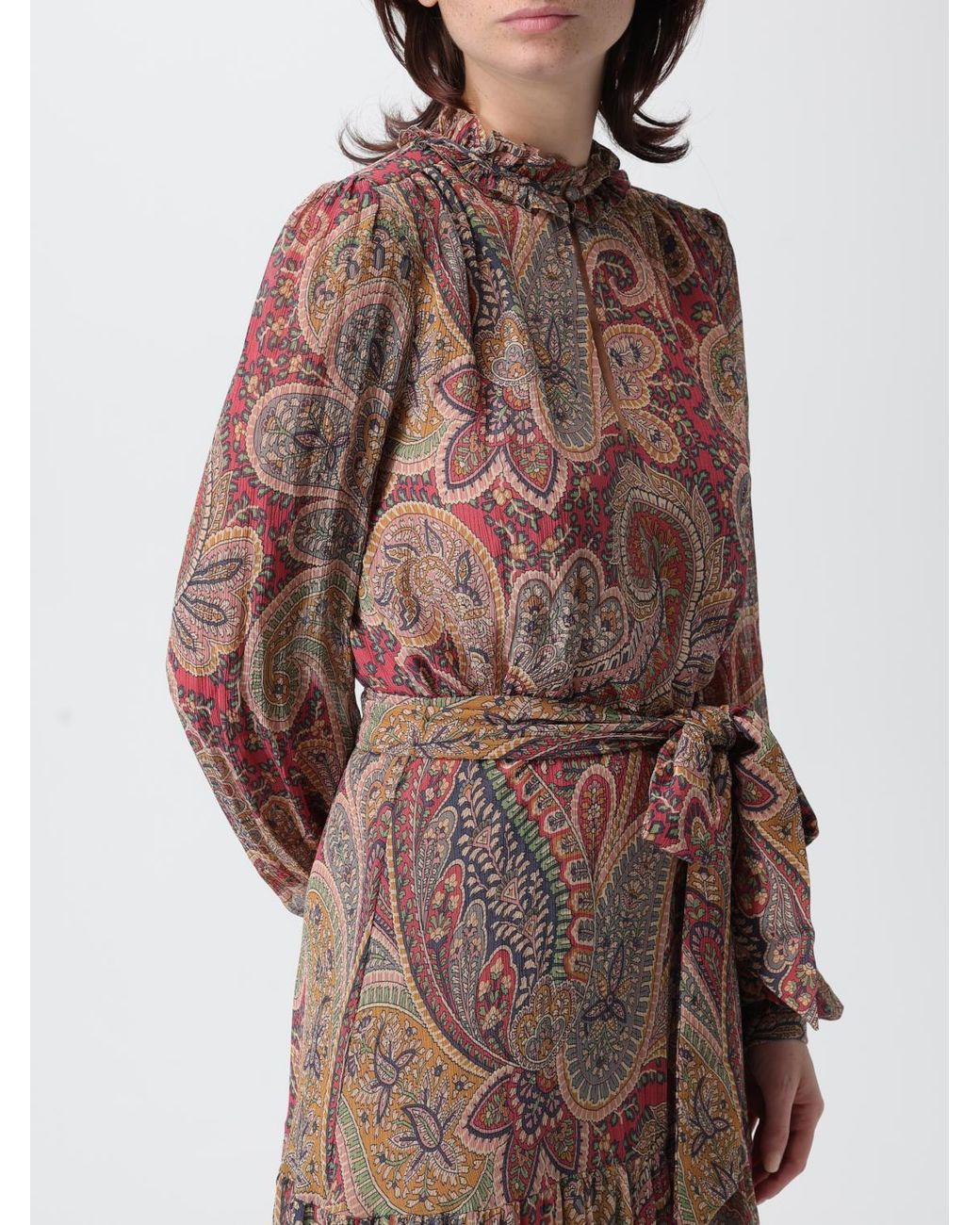 Etro Brown Dress