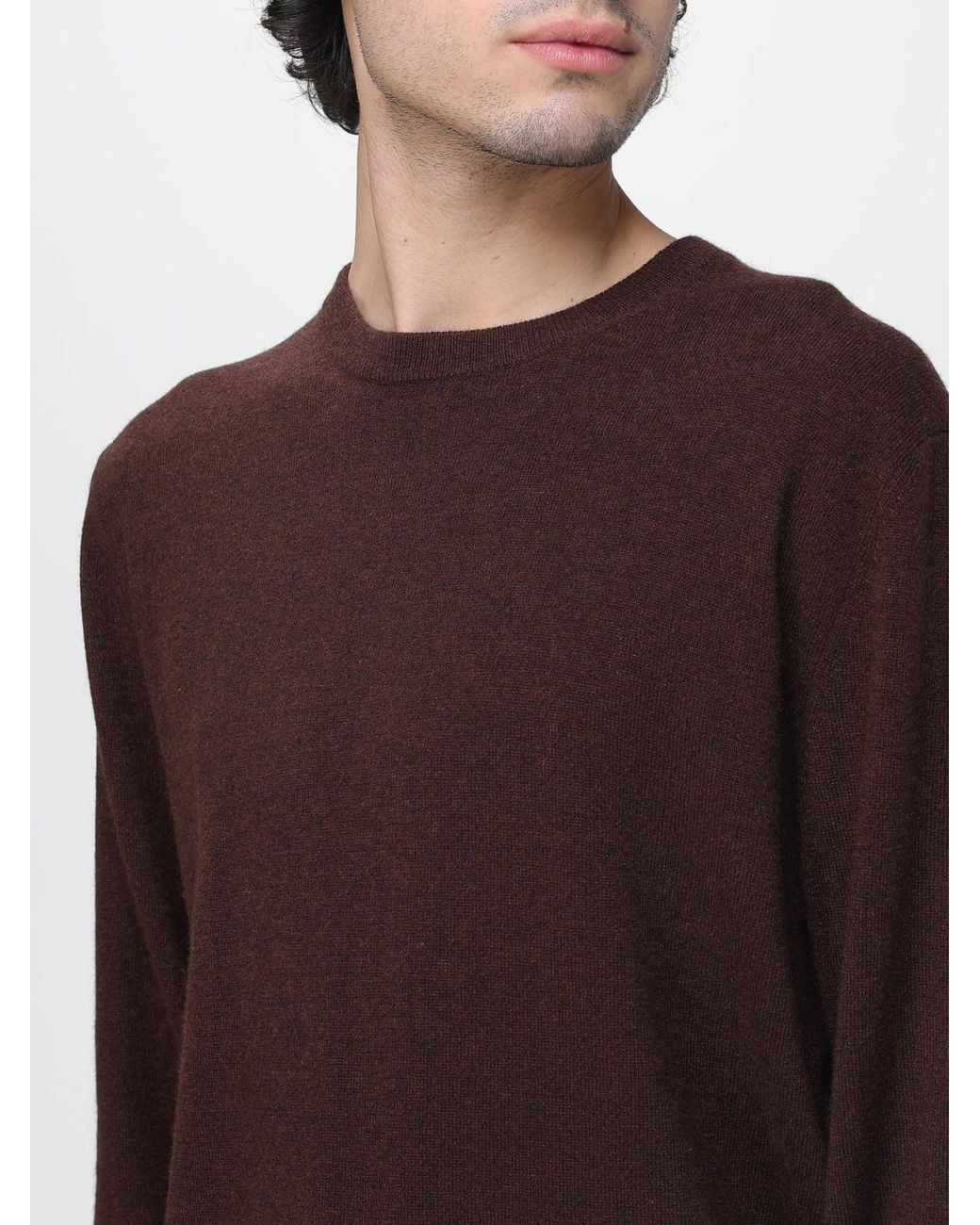 Ballantyne Purple Cotton Crew-Neck Pullover for men
