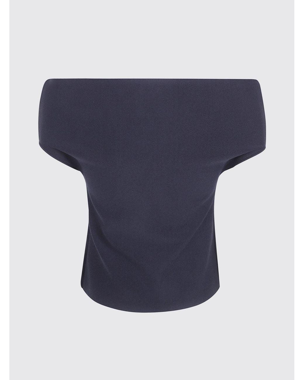 Alberta Ferretti Blue Top