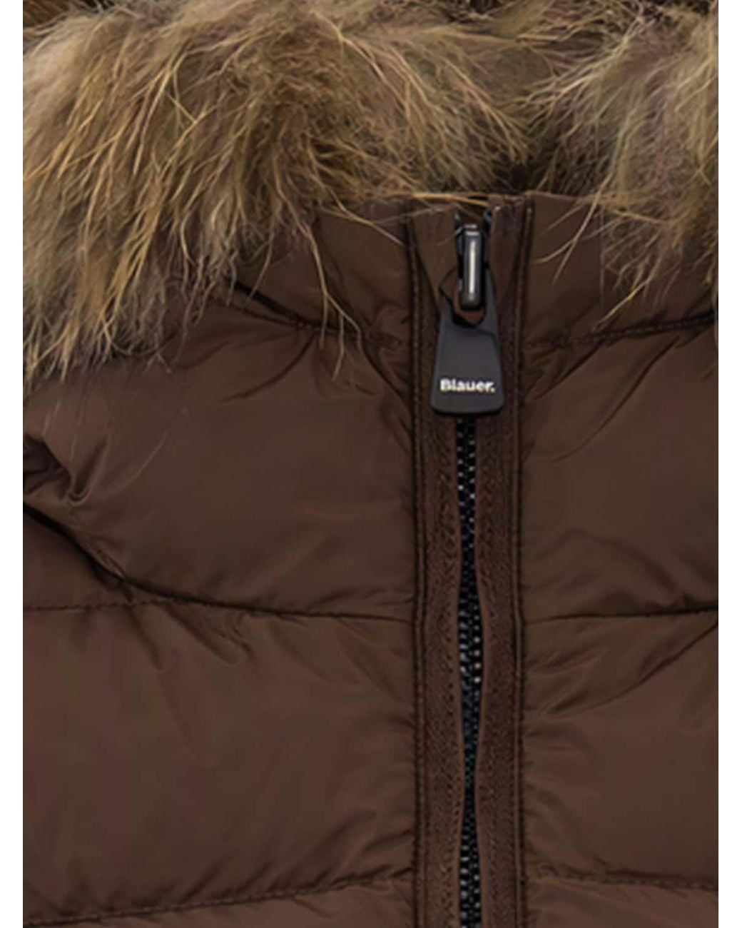 Blauer Natural Jacket