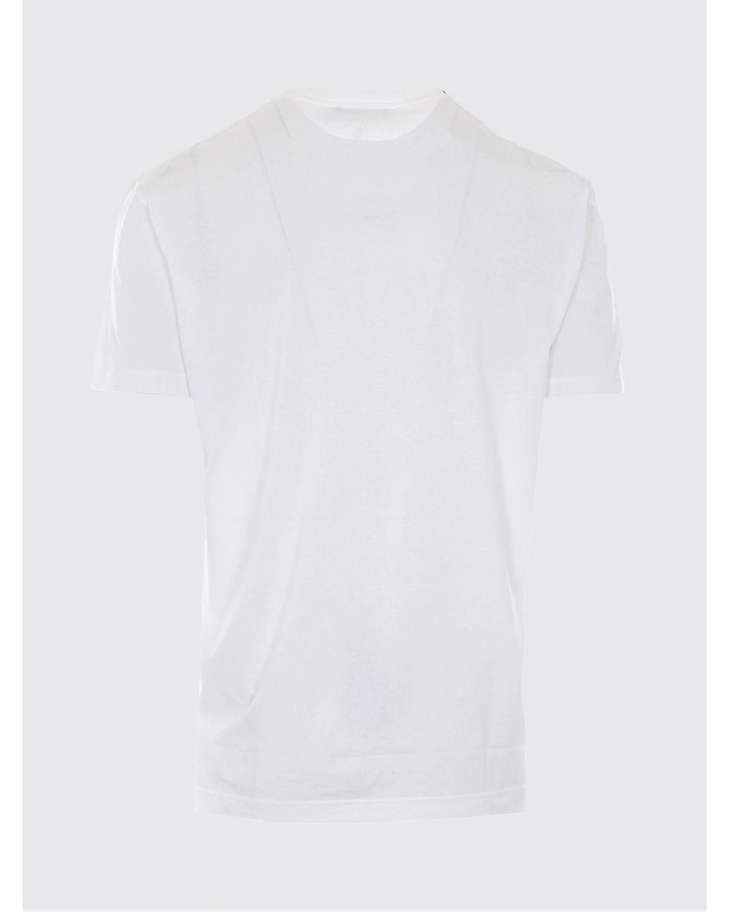 Dolce & Gabbana White Dolce &Amp Gabbana Cotton Crew-Neck T-Shirt With Logo for men
