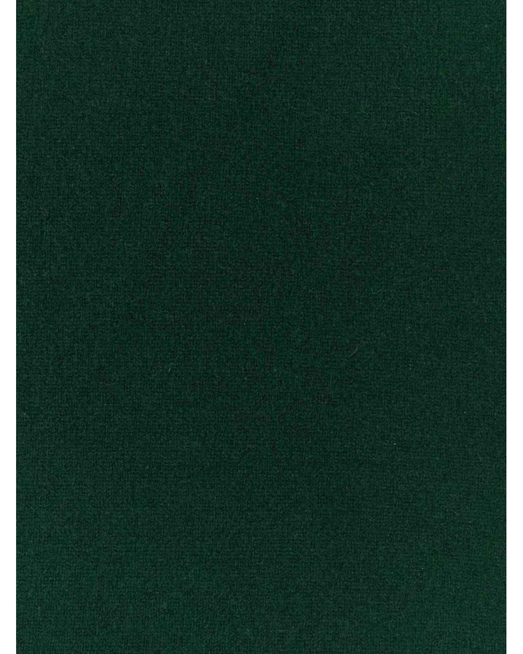 Extreme Cashmere Green Scarf for men