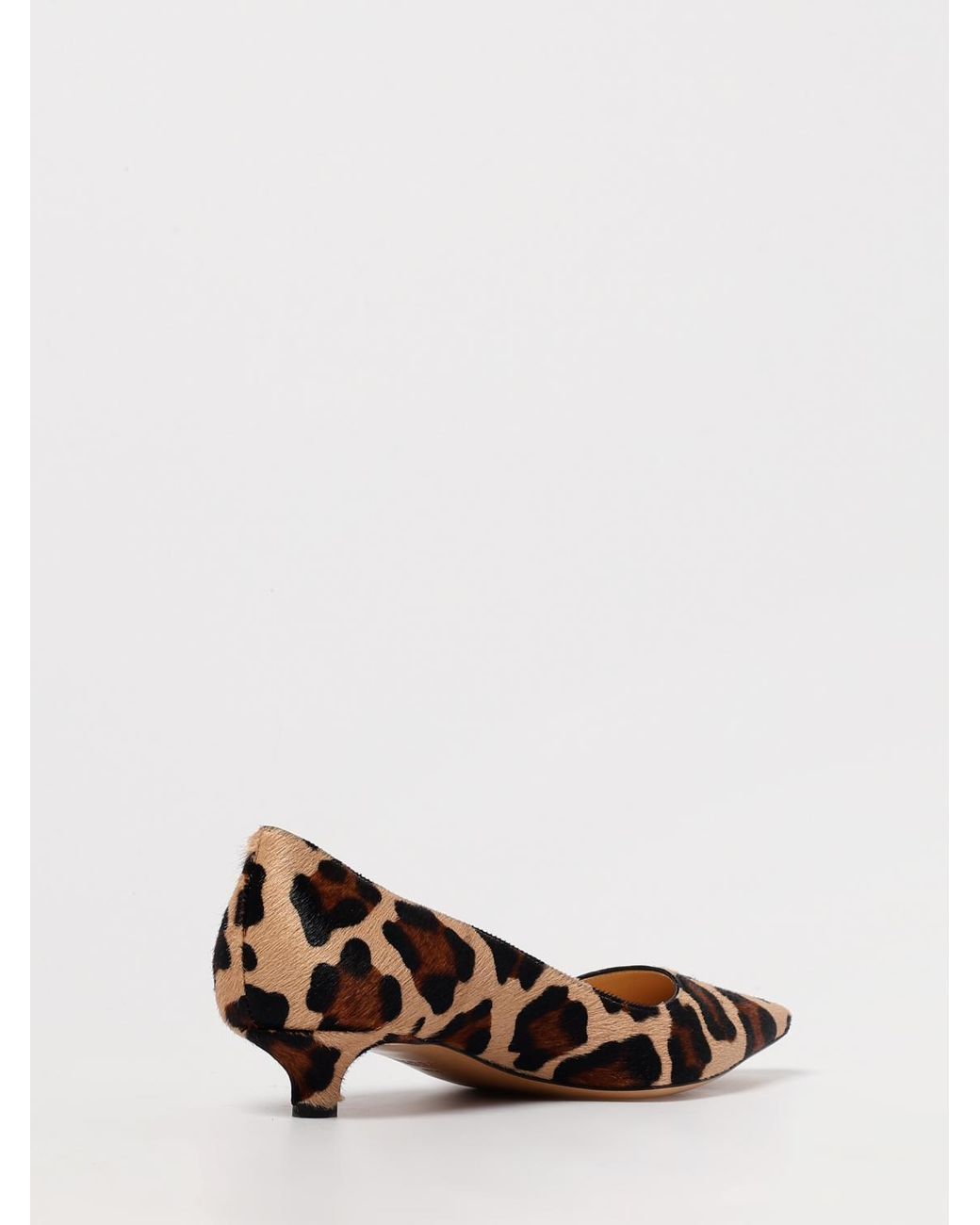 Francesco Russo Brown Ballet Pumps