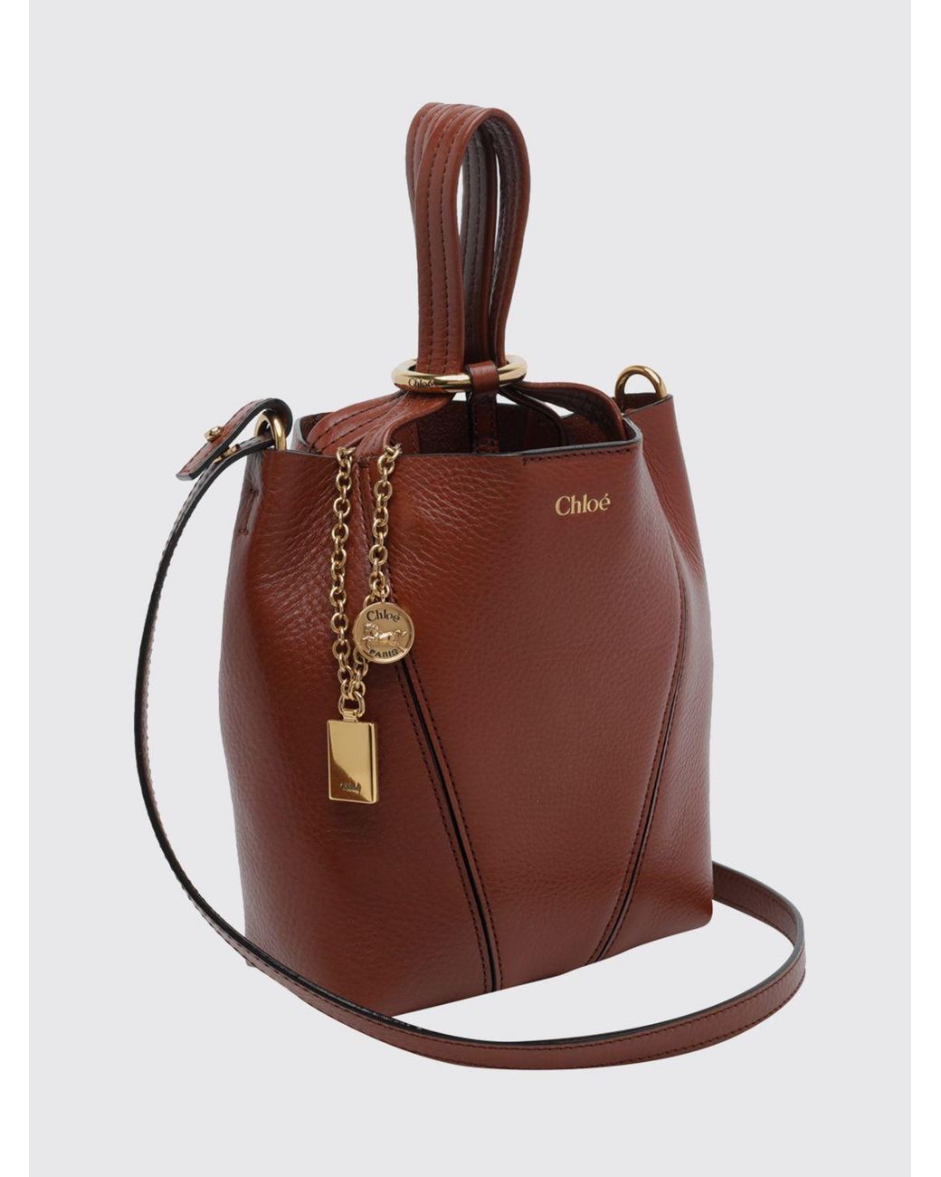 Chloé Brown ChloÉ Spin Mini Grained Calfskin Handbag With Ring Detail