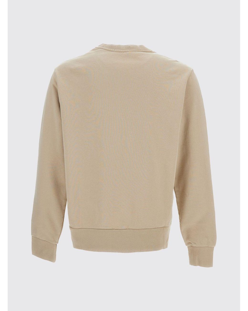 Polo Ralph Lauren Blue Cotton Crewneck Sweatshirt With Pony Logo for men