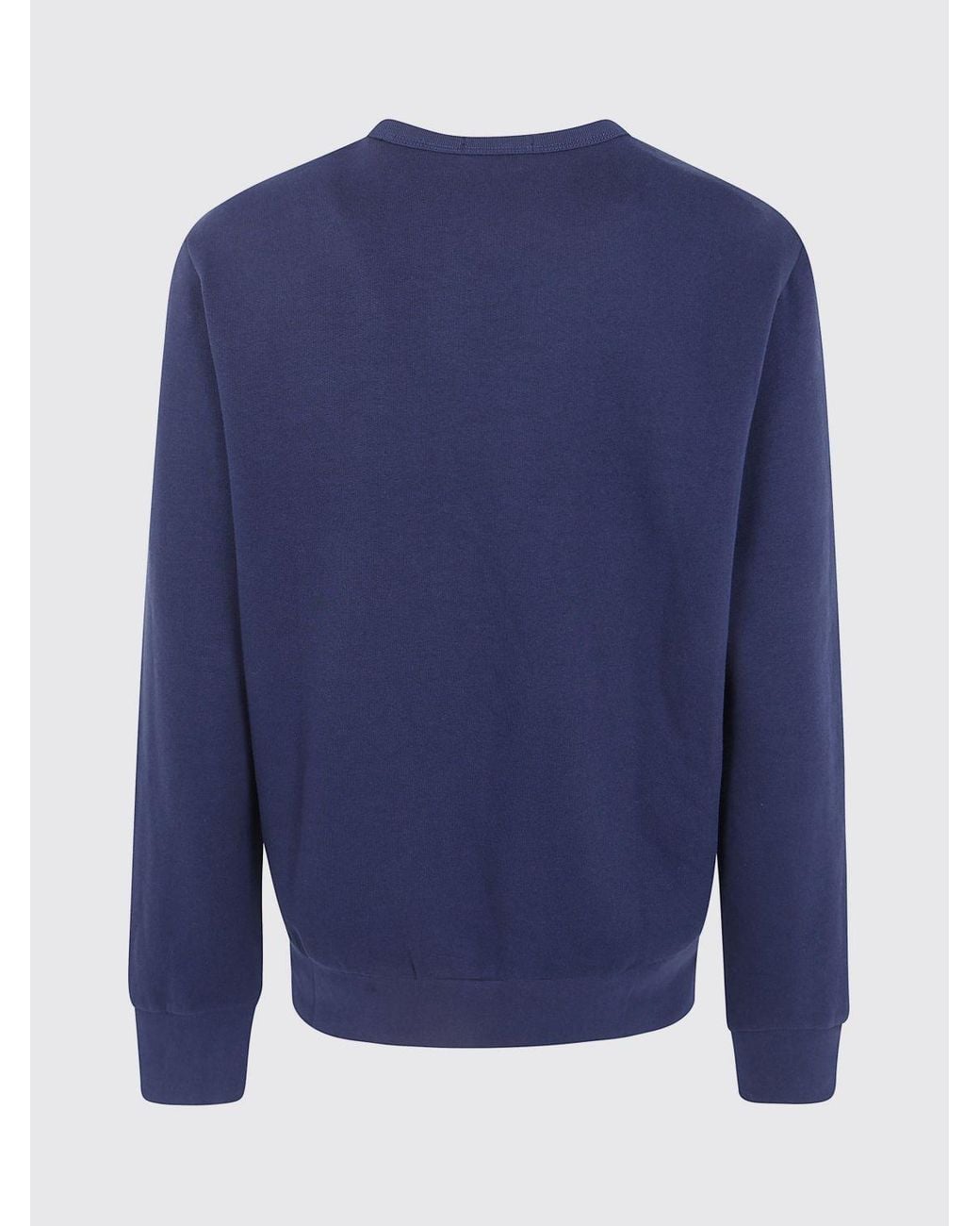 Polo Ralph Lauren Blue Sweater for men